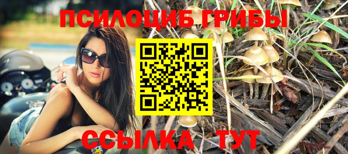 Галлюциногенные грибы Psilocybine cubensis  купить закладку  Галлюциногенные грибы мухоморы  Кизляр  Вход с VPN 