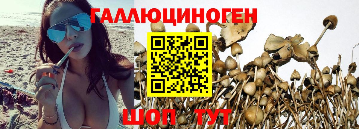 Псилоцибиновые грибы ЛСД Кизляр